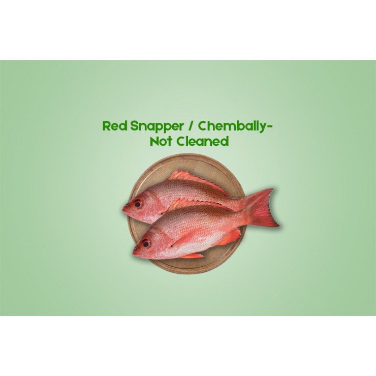Cleaned Nadan Red Snapper  /  Red Chembally  (350gm)